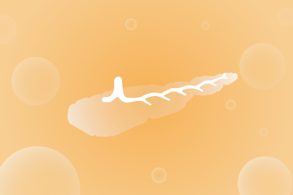 内分泌系统，腺体，胰腺遗传病、基因病、罕见病基因解码，基因检测，基因筛查与分子诊断