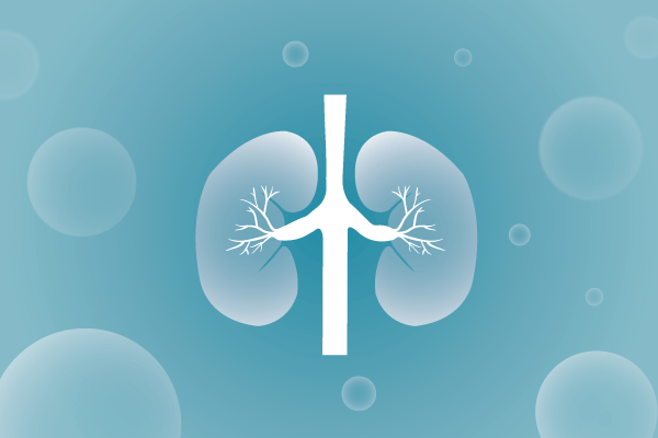 泌尿系统，肾脏，膀胱，尿病，肾不好遗传病、基因病、罕见病的基因解码，基因检测，基因筛查与分子诊断