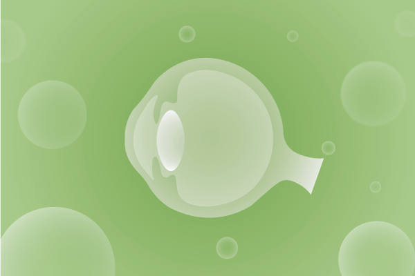 眼科，视光中心，眼科诊所，眼睛相关遗传病、基因病、罕见病的基因解码，基因检测，基因筛查与分子诊断