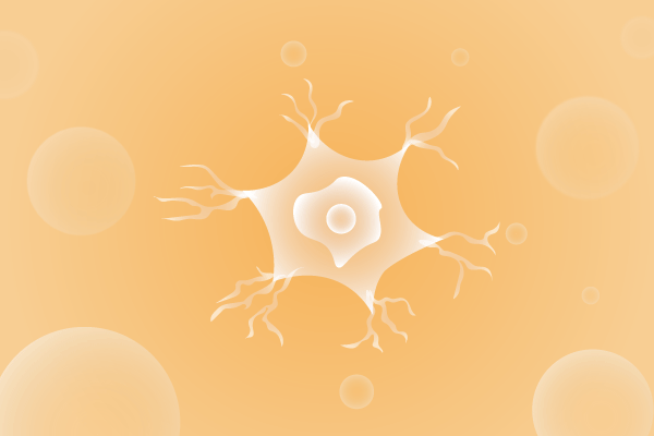 神经科肌肉系统及运动神经系统遗传病、基因病、罕见病的基因解码，基因检测，基因筛查与分子诊断