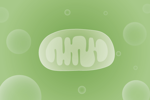 线粒体病、线粒体疾病遗传病、基因病、罕见病基因解码，基因检测，基因筛查与分子诊断