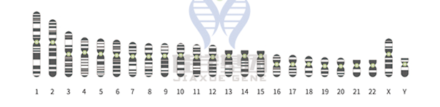 知道CD81的这些内容，是基因检测全面性一个准备